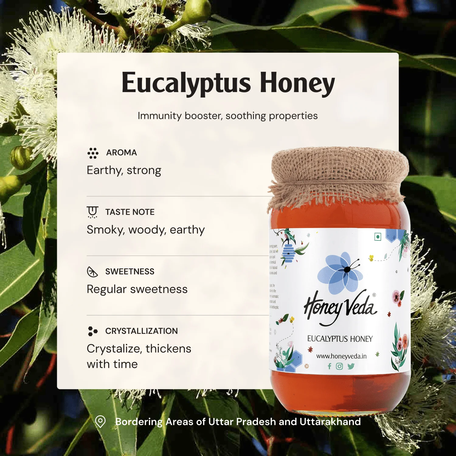Eucalyptus Honey - Image 3