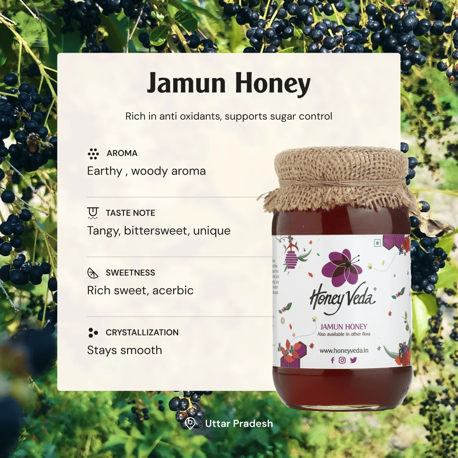 Jamun Honey - Image 3